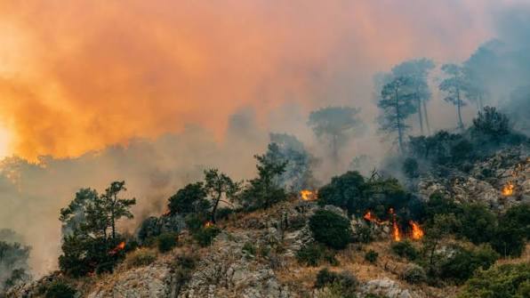Ya está “contenido” el incendio en el Parque Nacional Los Alerces