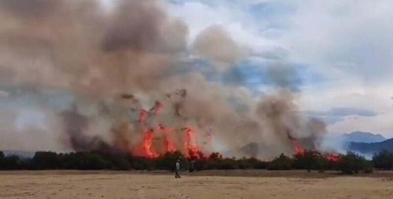 incendio