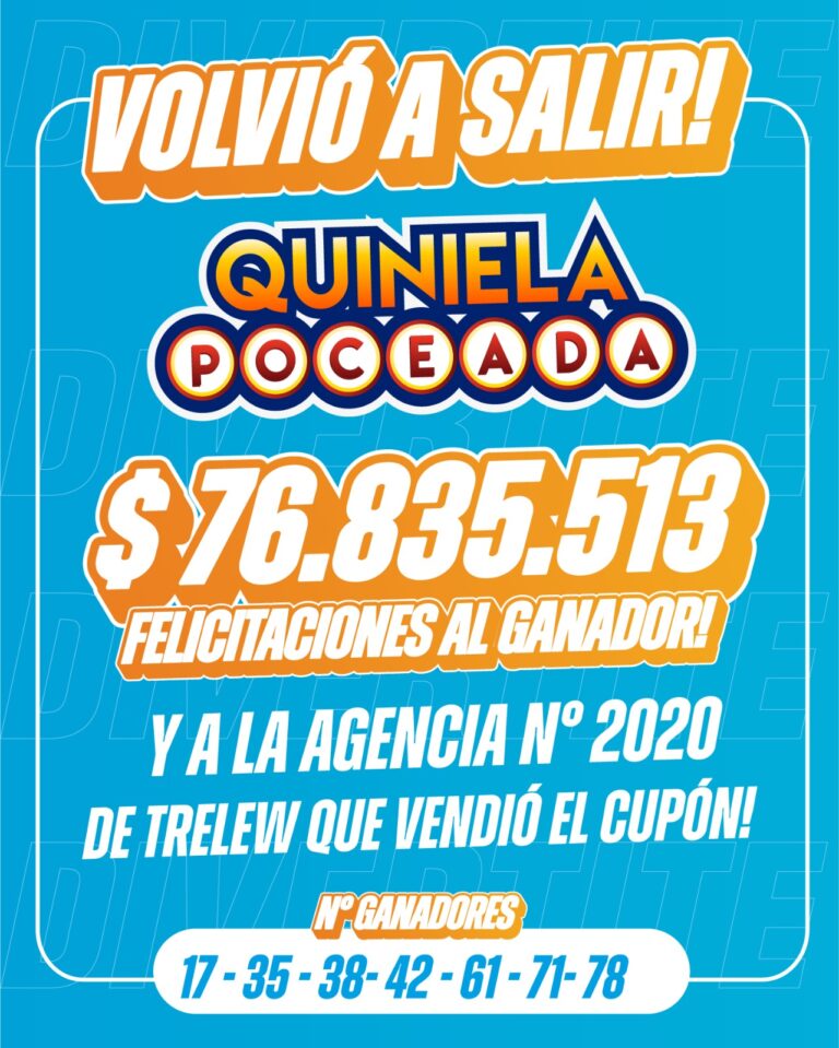 cartón