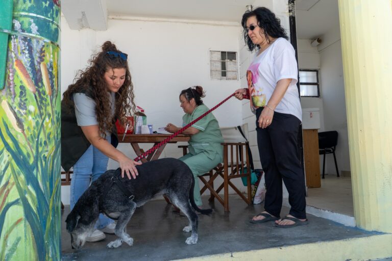 VACUNACION ANTIRRABICA