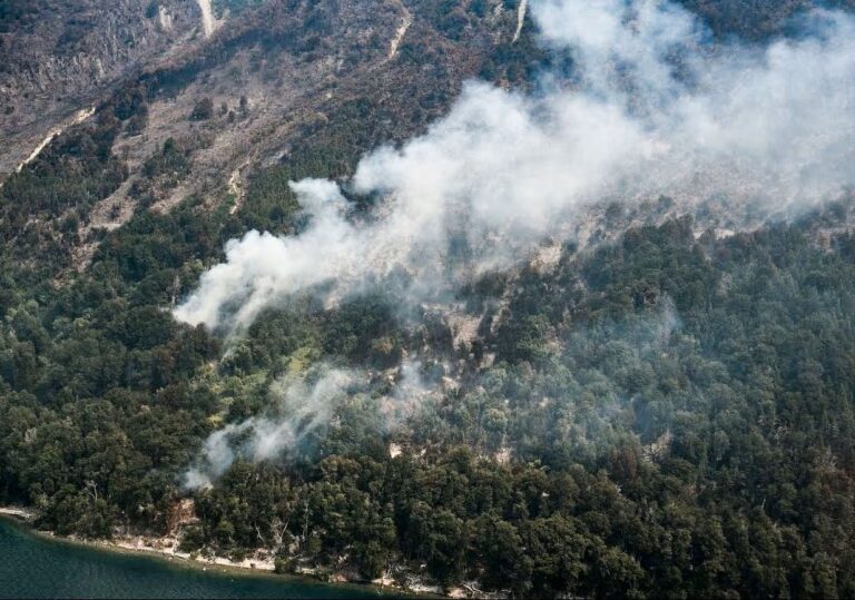 bosques1111