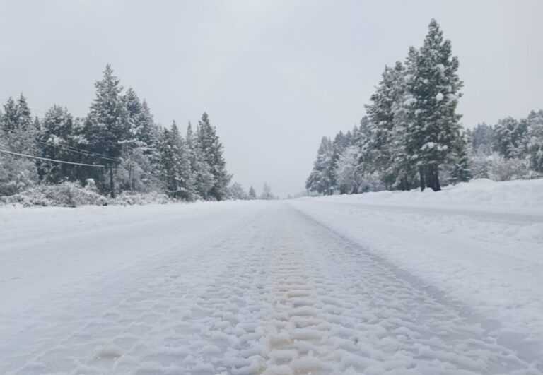 nieve